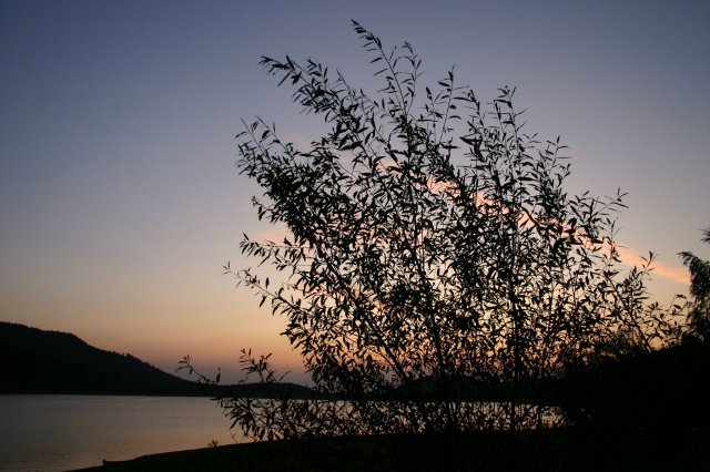 2009 Rudern bei Sonnenaufgang - 02