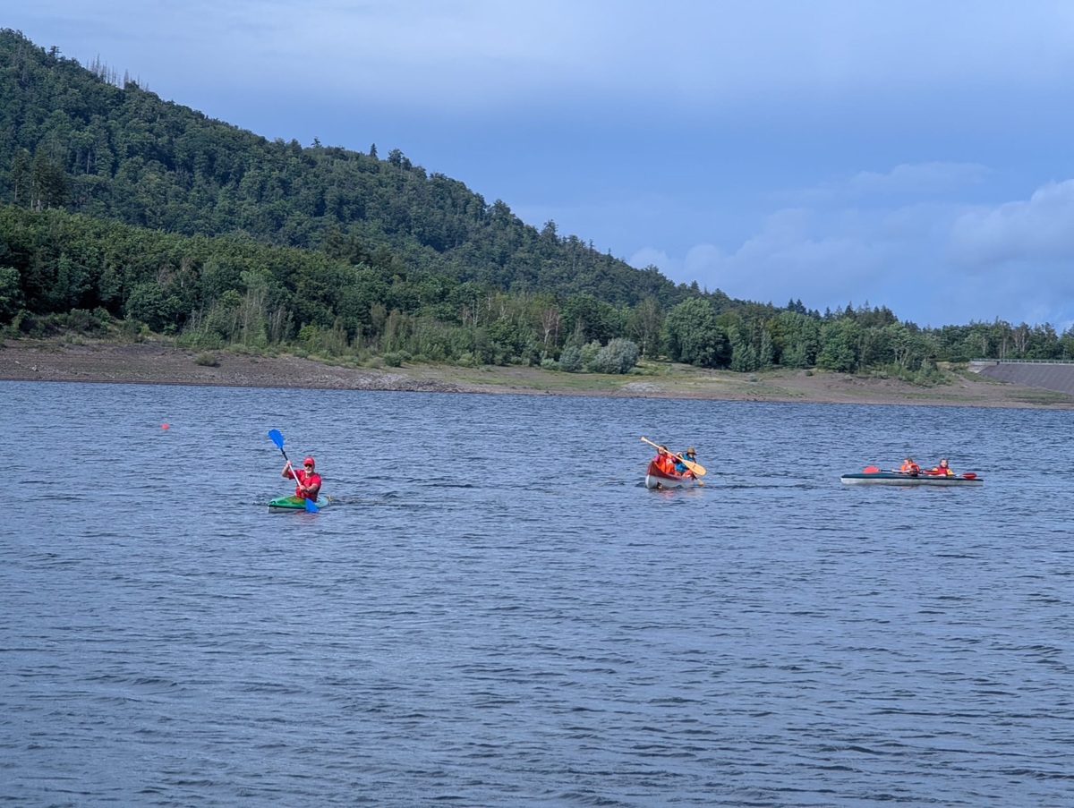 336c1fe8 df36 44c4 8224 0b58b4645fe7