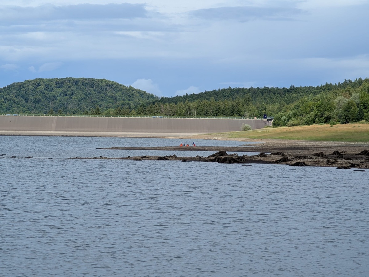 391c4473 6987 4fa0 87d3 a988e25051c1