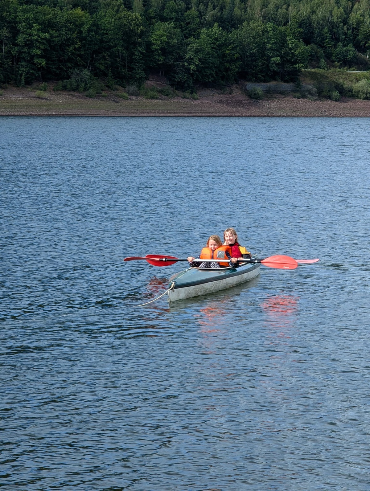 bbaf4e13 5c0c 4209 9089 8daa7d488b1b