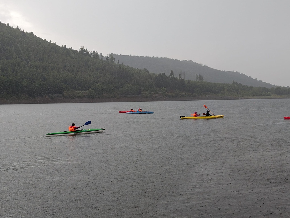 d7e918ab 7259 4e4a bc5b 62f8d3d6620c